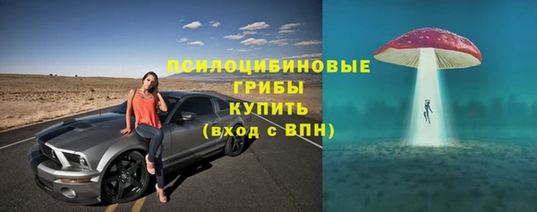 СК Богданович