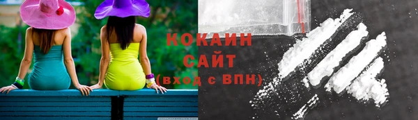 Альфа ПВП Богородск