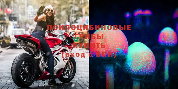 Альфа ПВП Богородск