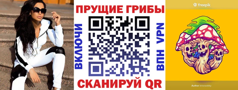 Псилоцибиновые грибы Psilocybine cubensis  Купить где  Бердск 